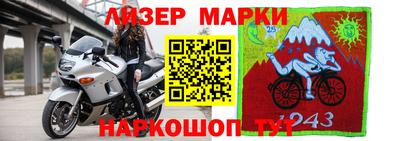 spice Кимры