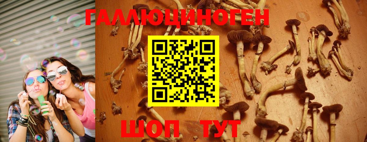 Псилоцибиновые грибы мухоморы  Вход с VPN  Солнечногорск 